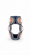 Adjustable Canine Mobility Brace
